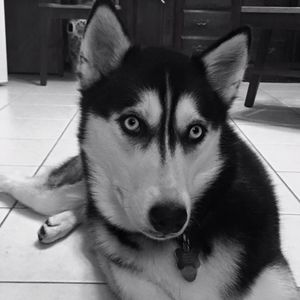 Meet your Posher, Rosemarie